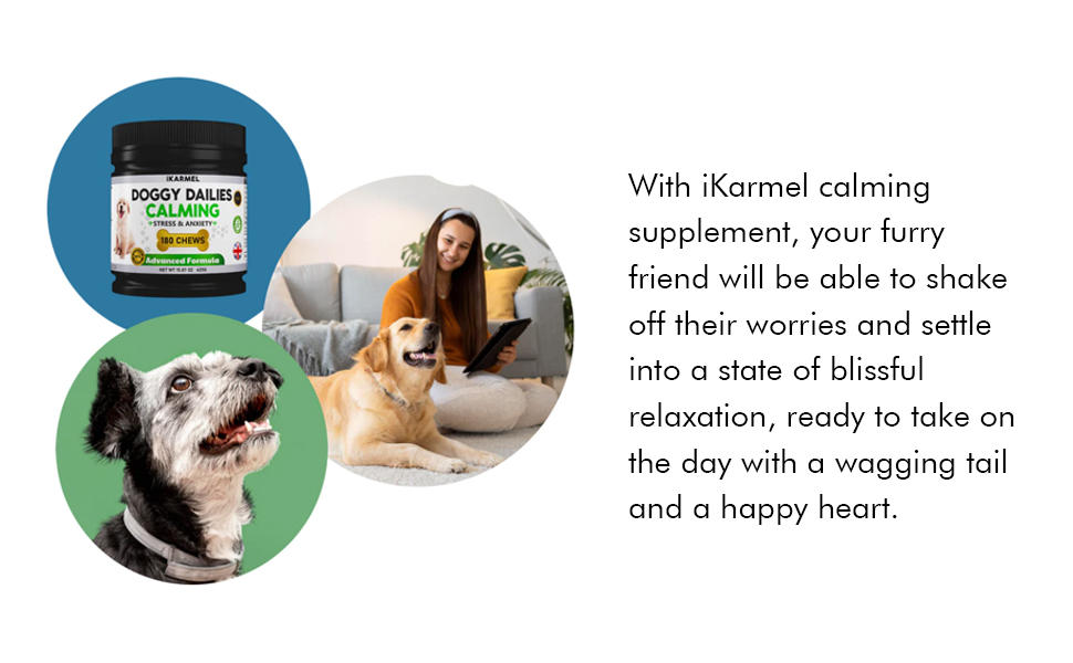 Doggy Dailies Dog Calming Products Anxiety Support Anti Stress