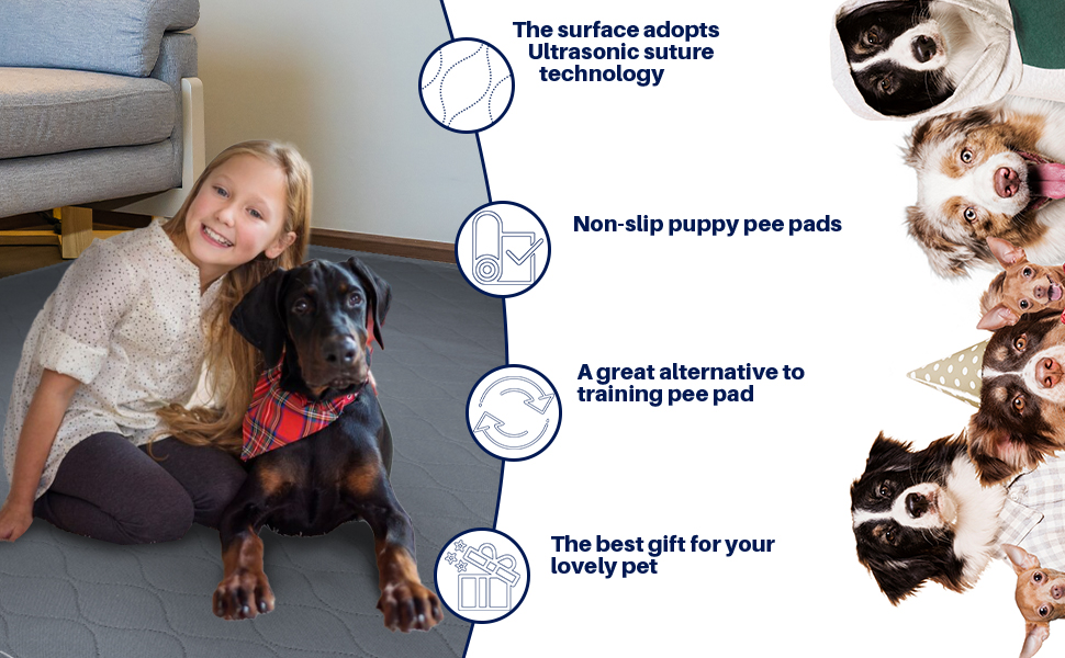 Washable Pee Pads for Dogs 2 Pack Dog Pee Pads Extra Large Absorbent