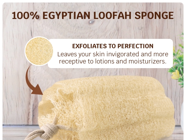 Loofah Sponge
