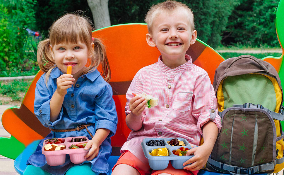 6 Pack Snack Containers, 4 Compartment Divided Snack