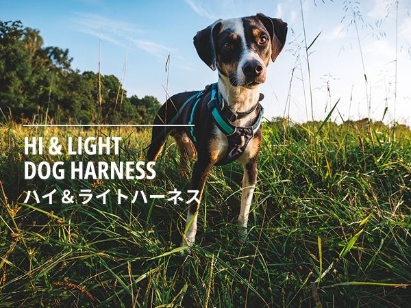Amazon | RUFFWEAR(ラフウェア) ハイ&ライトハーネス セージ
