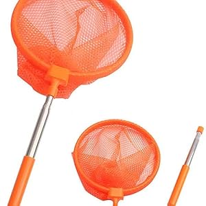 あみむし様 オニヤンマと虫とりあみ 6段伸縮 の通販 | ホームセンター