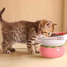 cat ceramic bowl