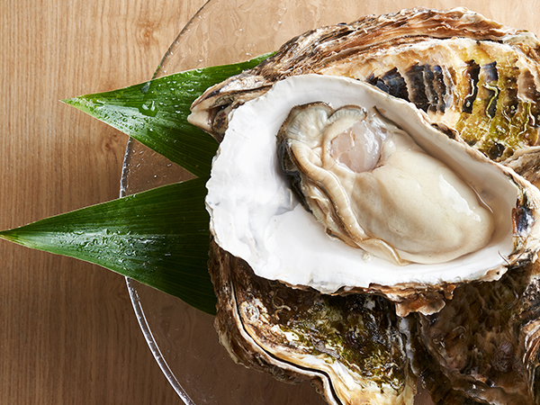 牡蠣エキス加工食品 楽天市場】【特選粉末】牡蠣エキスパウダー 30g ～瀬戸内海産