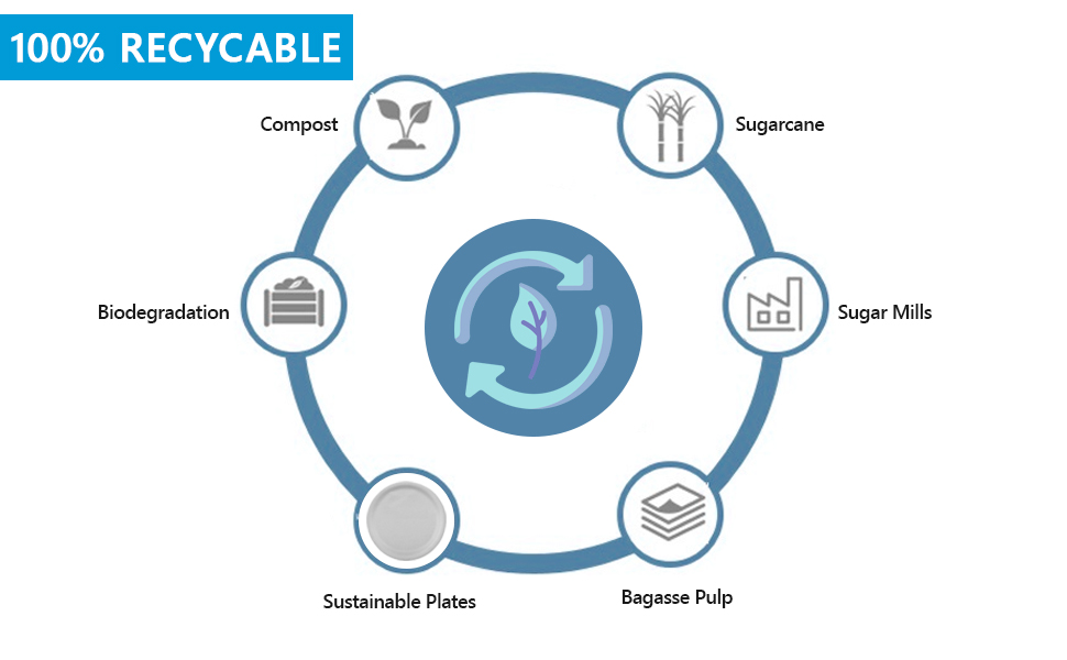 NationwidePaper 10 Inch Biodegradable Bagasse Round Paper Plates