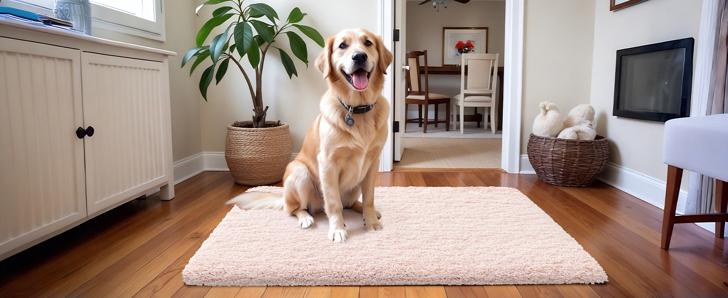 Pets Rug