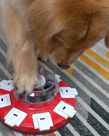 dog puzzle feeder