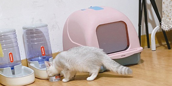 Small manufacture image 2