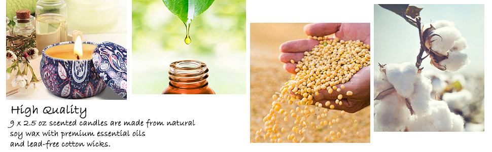Natural Soy Wax