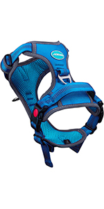 Dog Harness 1