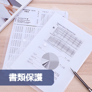 クリアファイル A4 ボタン式 ファイルケース