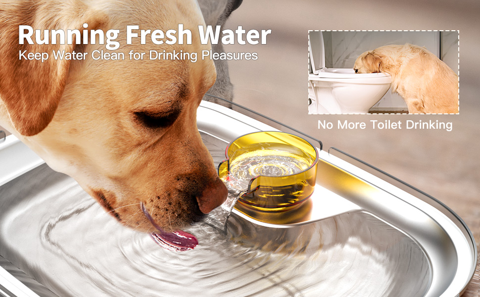 Large Dog Water Fountain 2 Gallons Pet Water Fountain with SUS304