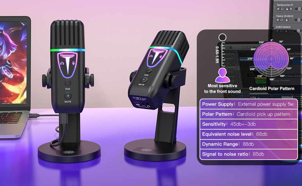 Professional Studio Microphone