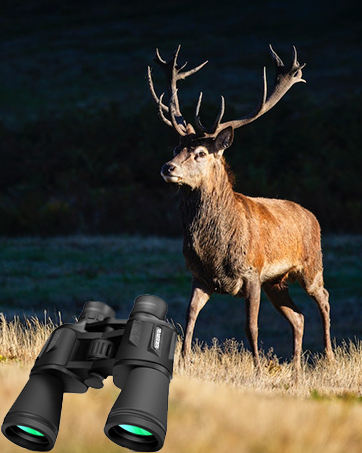 10x50 Binoculars