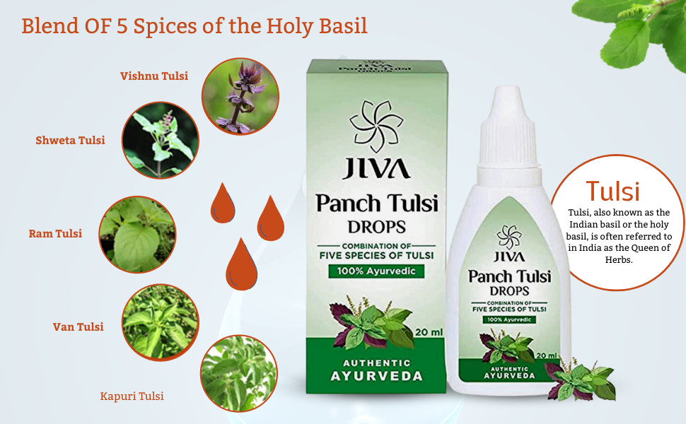 SPN-BFCC Panch Tulsi Drops