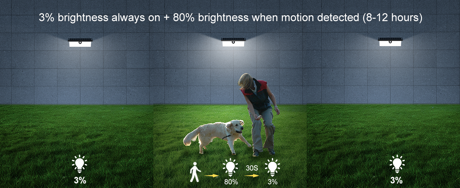outdoor porch light fixture