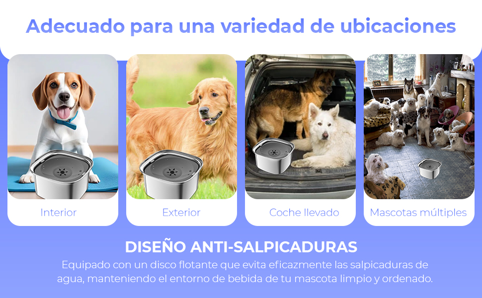 un collage de diferentes perros en un coche