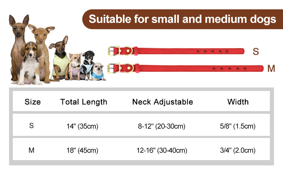 PET ARTIST Genuine Leather Dog Collar, Lightweight & Soft