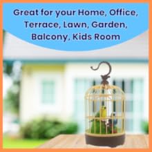 Singing Moving Chirping Beautiful Electronic Bird Pet Toy