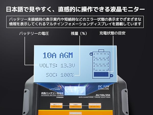 Amazon.co.jp: LVYUAN 25A DC12V バッテリー充電器 パルス機能