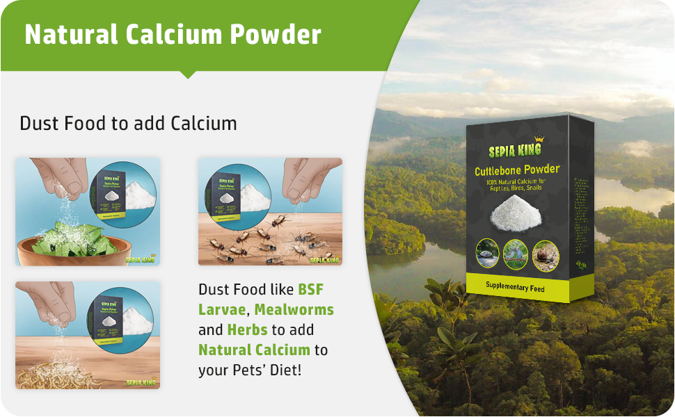 Sepia King Dusting Powder 100 Natural Calcium Supplement Premium Cuttlebone