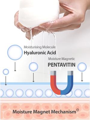 moisture magnet mechanism
