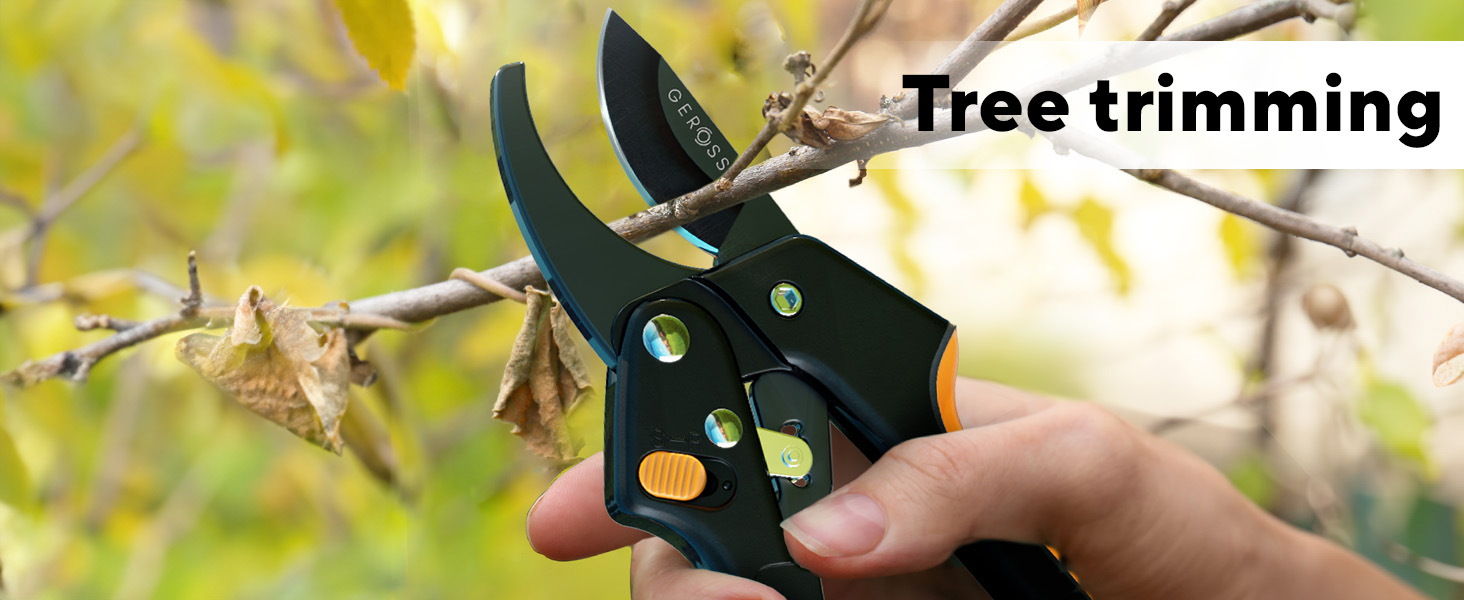Tree trimming