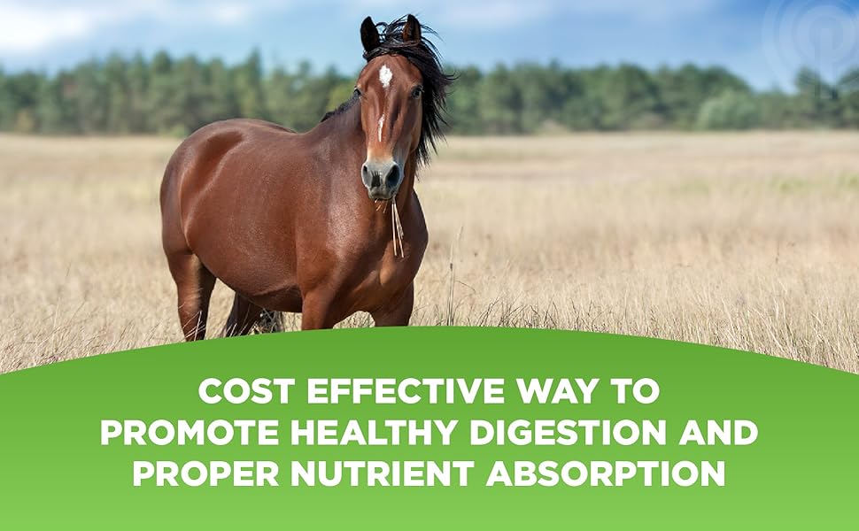 Cost effective wat to promote healthy digestion