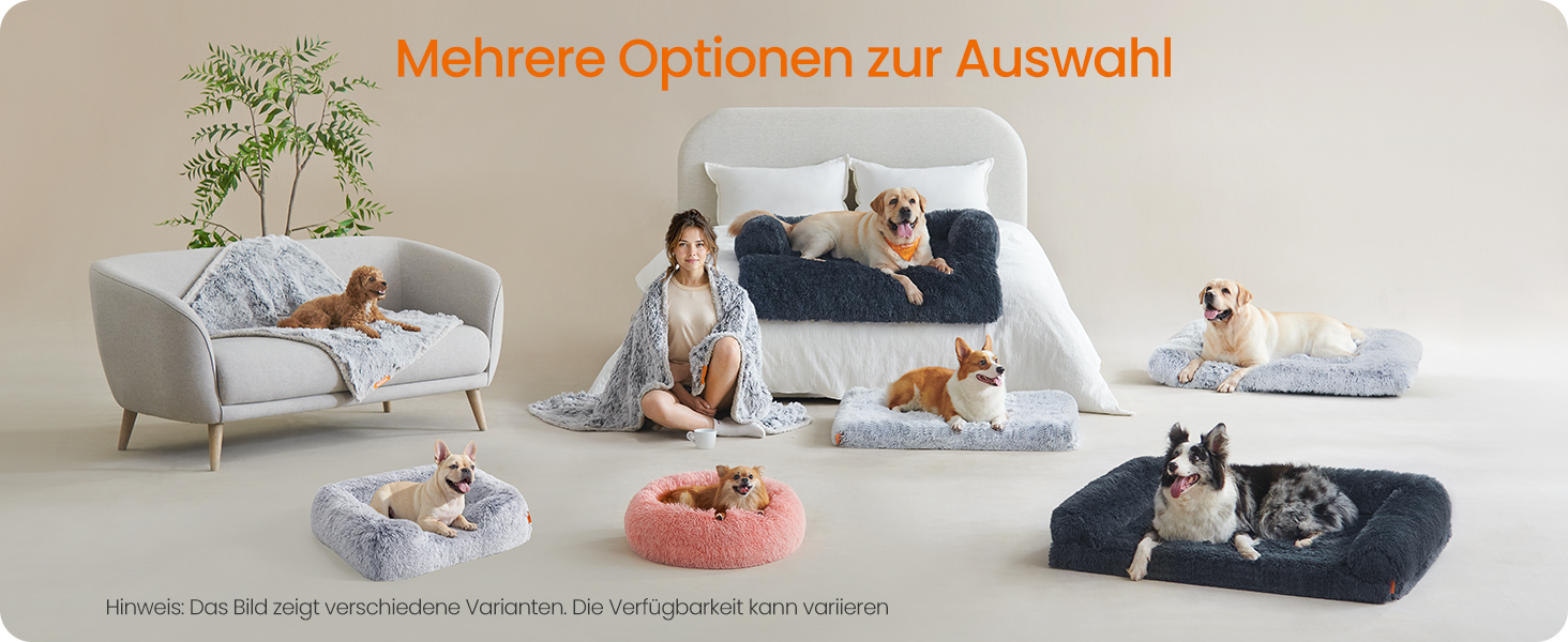 Verschiedene Betten und Möbel für Haustiere, ausgestellt mit Hunden. Zu den Optionen gehören eine graue Couch, ein großes Bett, Bodenkissen und Hochbetten in verschiedenen Größen und Farben