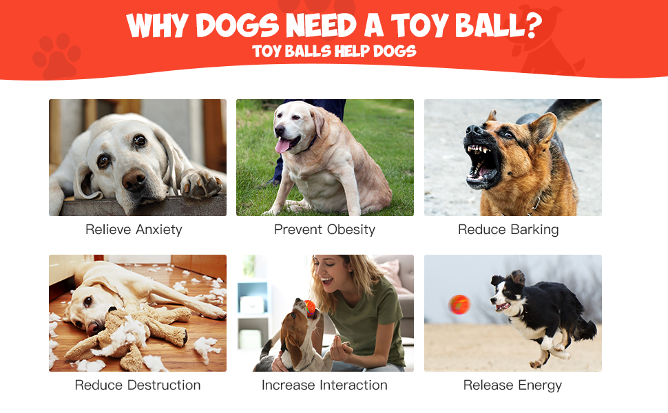 Pet Supplies LEOP Interactive Dog Toys Remote Control Ball, Automatic