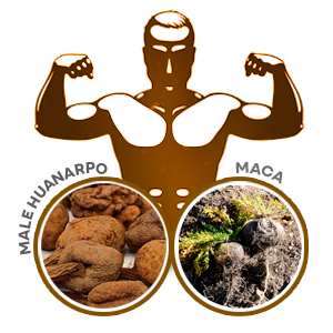 MALE HUANARPO WITH MACA