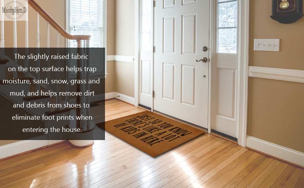 Msimplism.D Funny Doormat for Indoor Outdoor Audacity Definition Doormat