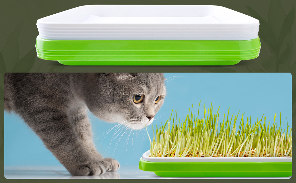 sprouting trays for sprouts