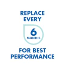 Replace Every 6 Months