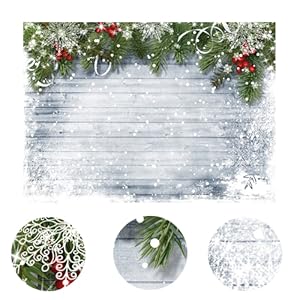 winter Backdrops