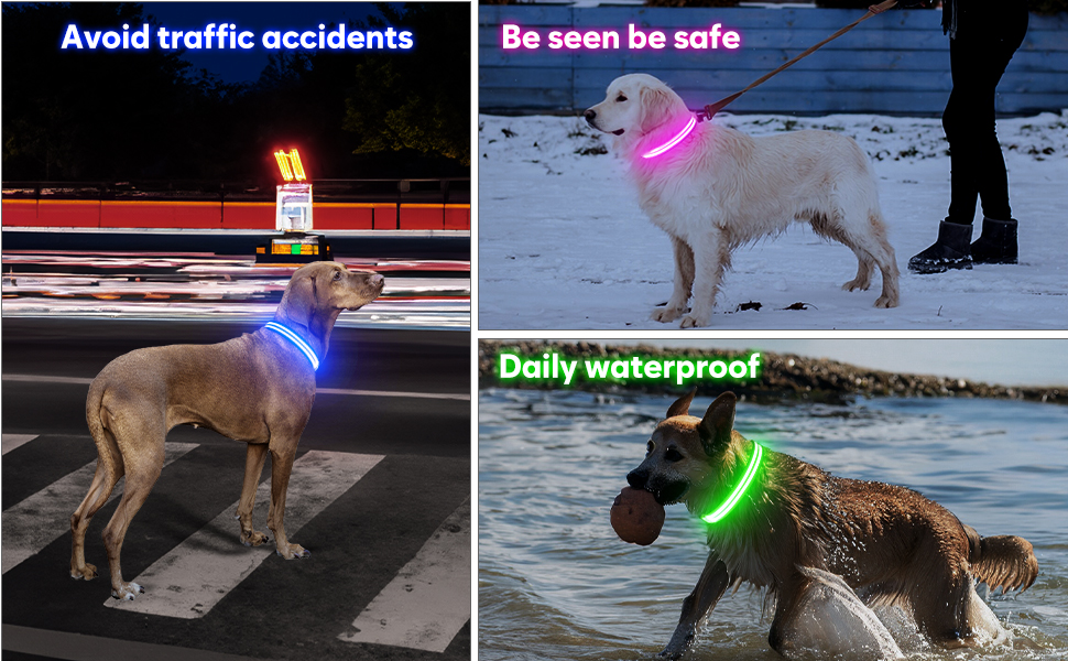 light up dog collars
