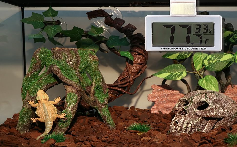 reptile thermometer