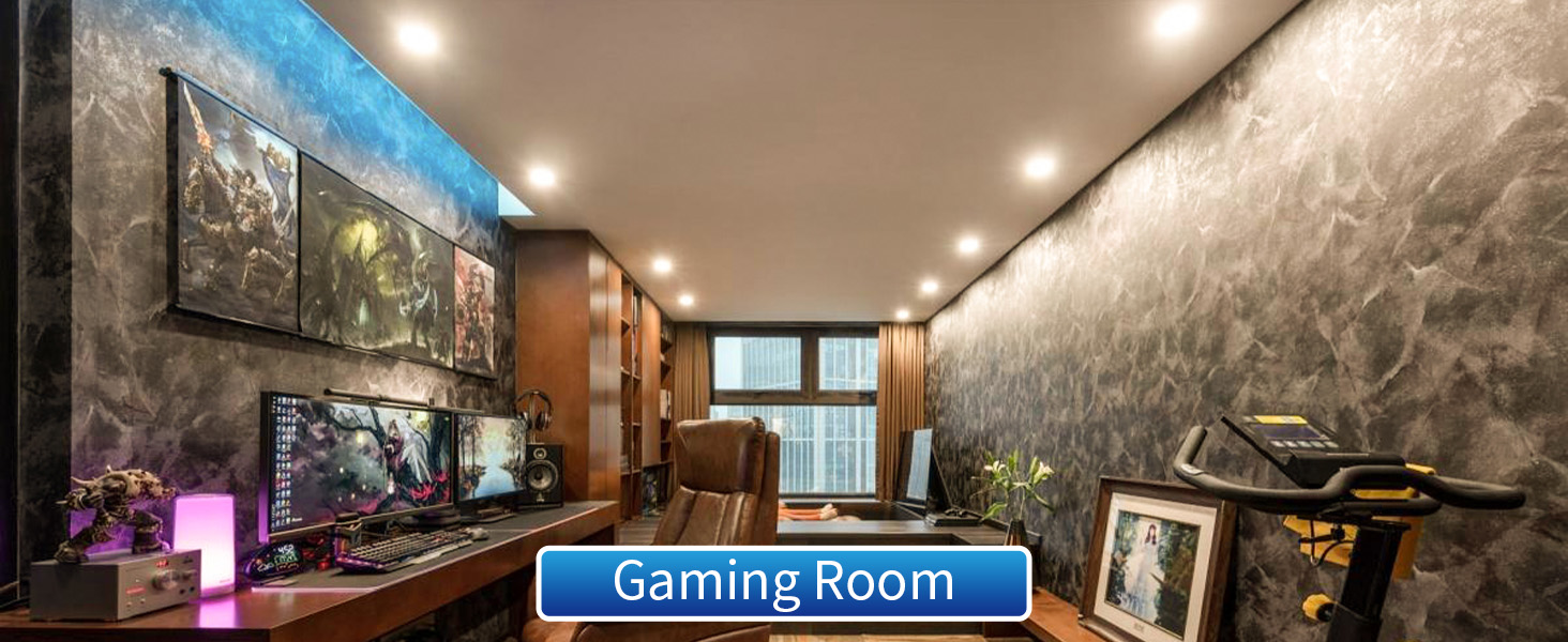 can lights for ceiling