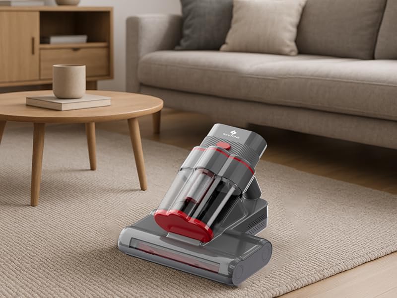 Bed vacuum