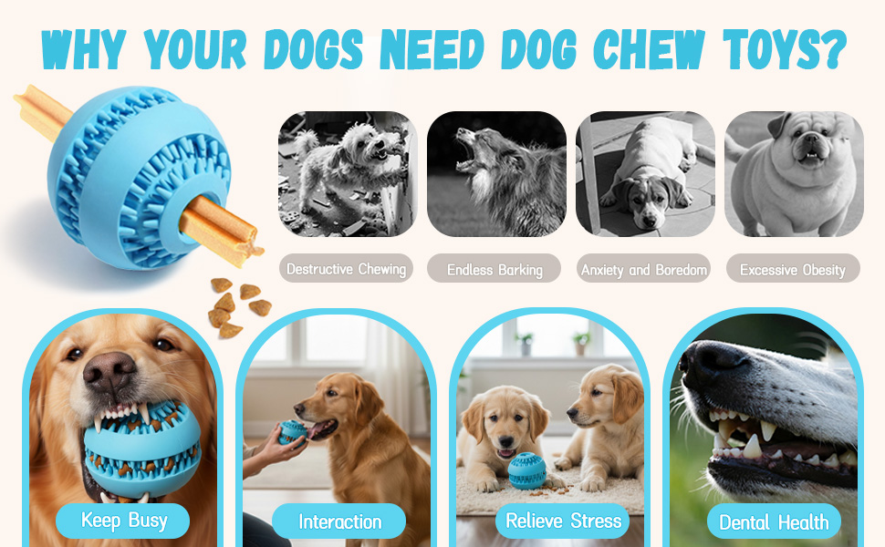Why your dogs need Dog Chew Toys?