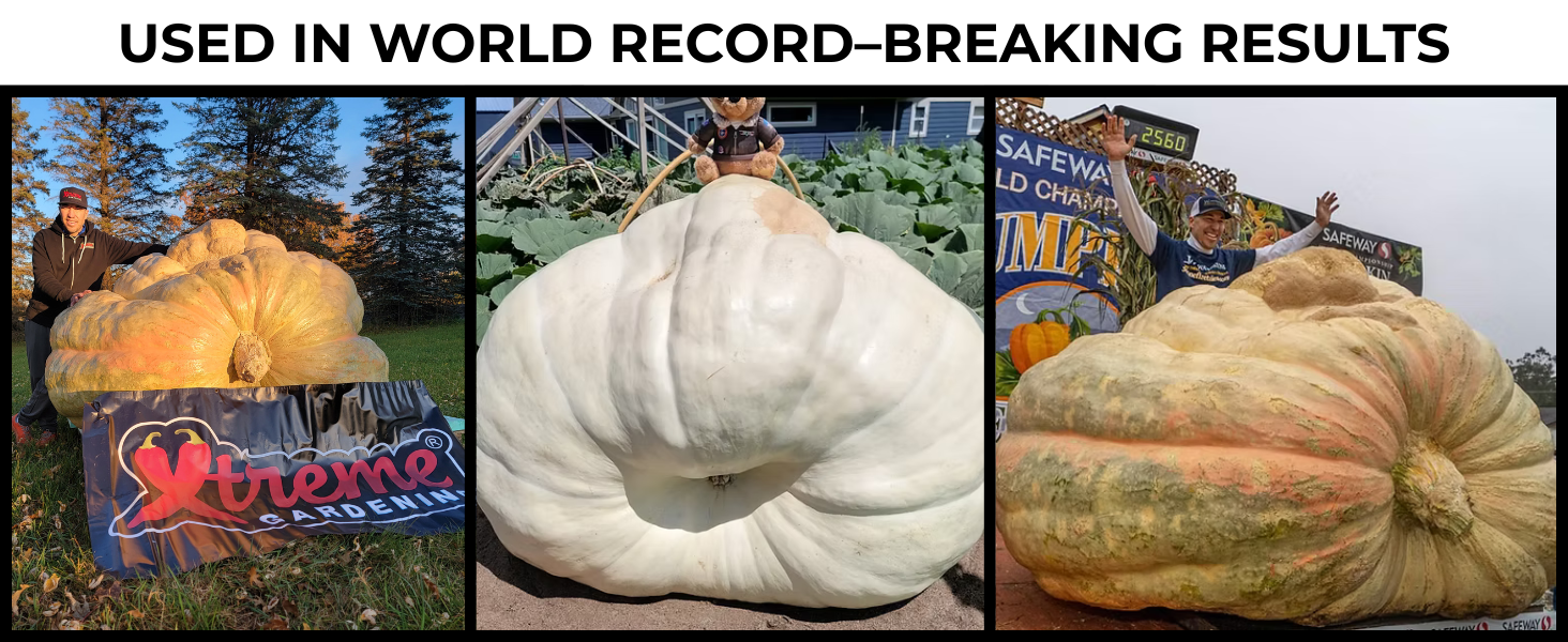 Large manufacture image 6