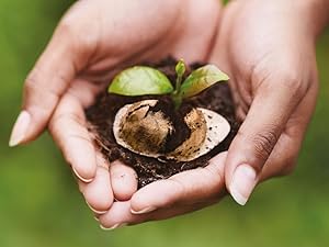 Small manufacture image 3