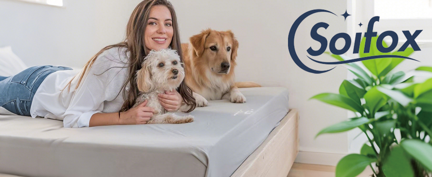 Two dogs resting on a gray mattress with Soifox brand logo visible in corner. Indoor setting with houseplant visible.