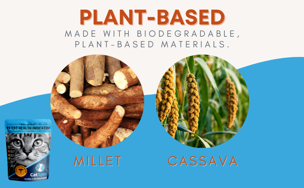 plant based cat litter health indicator made from millet and cassava
