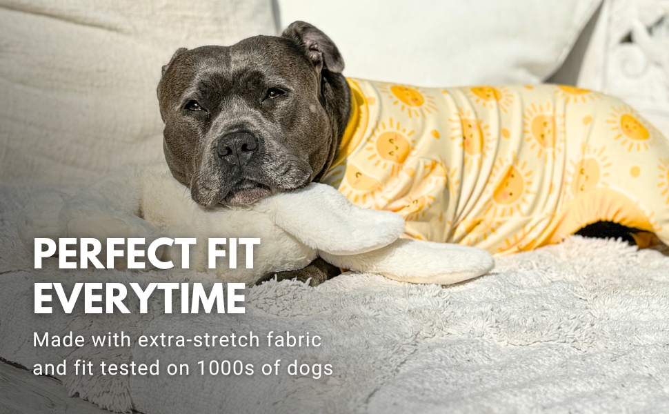 Spark Paws Pajamas - Sunshine