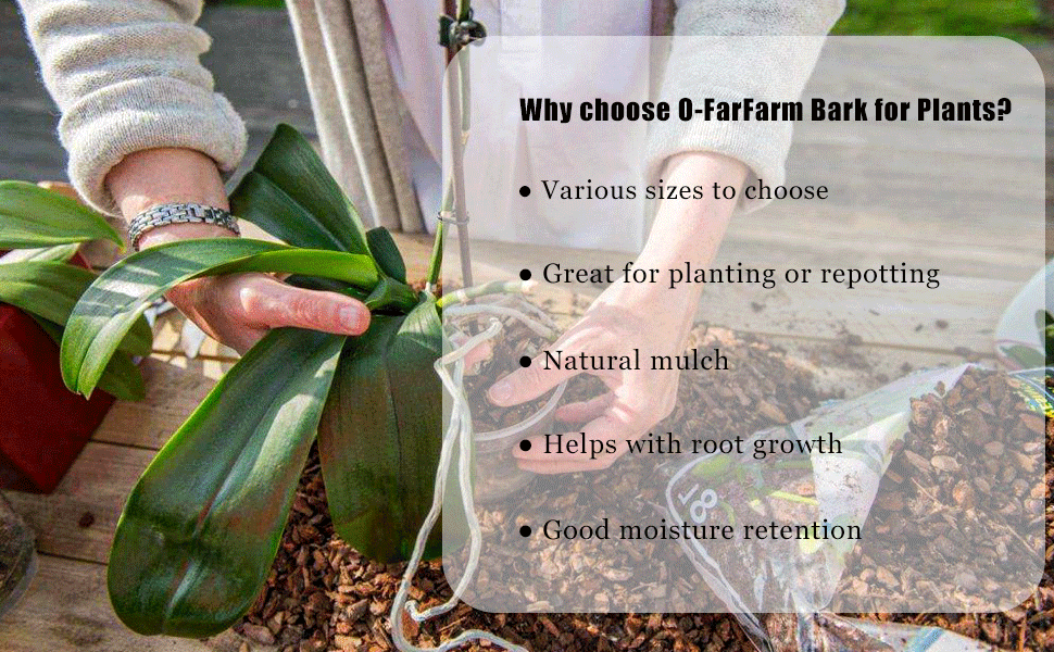 O-FarFarm Orchid Bark for Plants