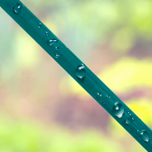 green orchid sticks flower stakes