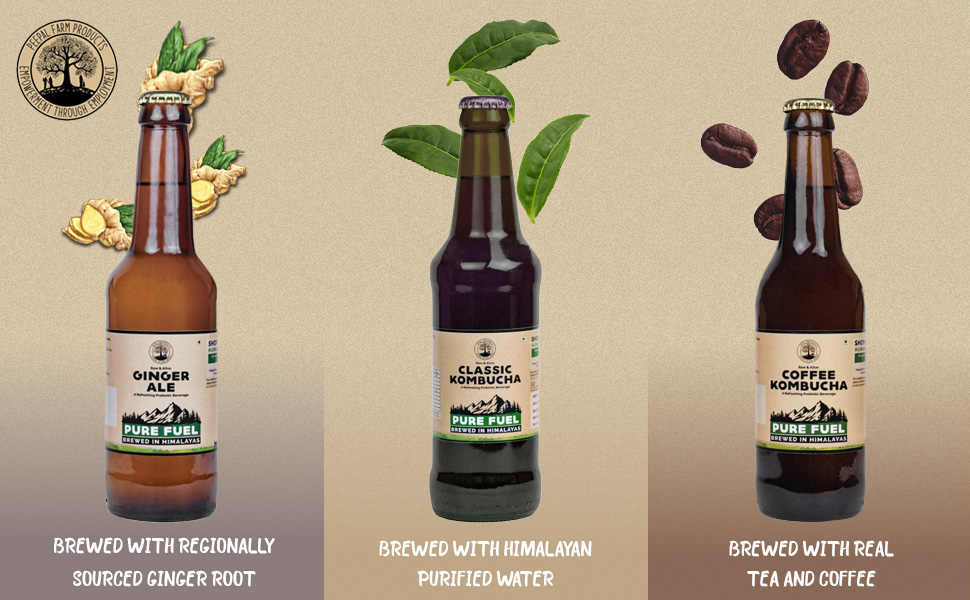 Peepal Farm Classic B12 Kombucha Pack of 2 (500ml Each) Contains B12 Naturally Amazon.in