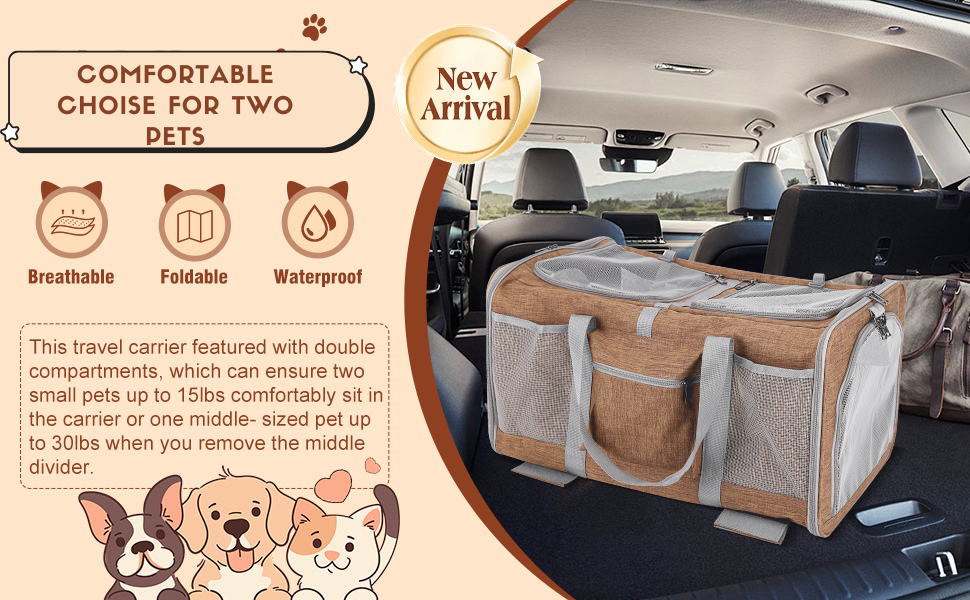 comfortable choise for two pets