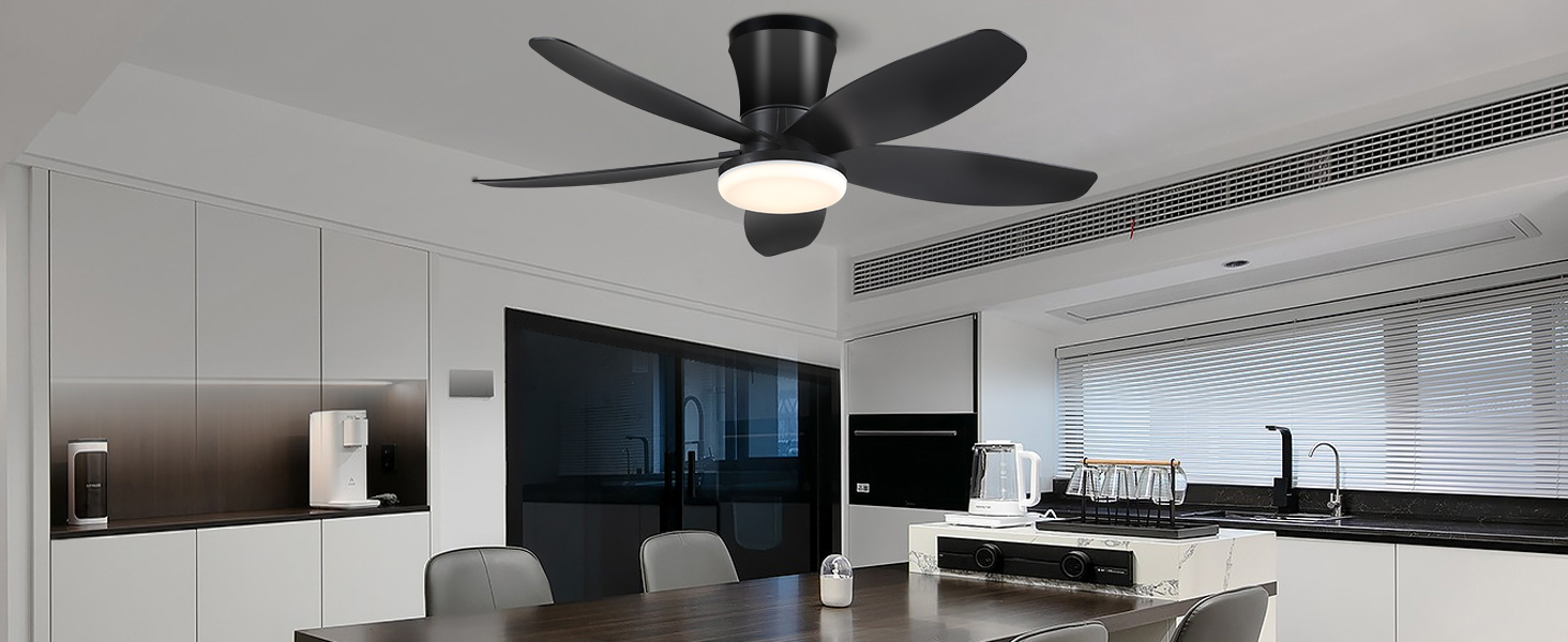 lighting & ceiling fans